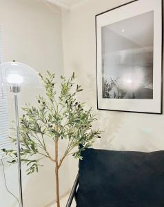 PREMIUM 합법적으로 등록된 3-Room 숙소 #대치동 학원가 #삼성역 #강남역 #코엑스 #세브란스병원