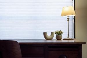 Bright Studio in Launceston CBD
