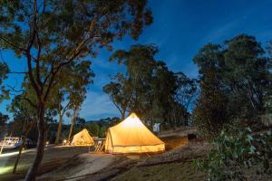 Cosy Tents - Daylesford