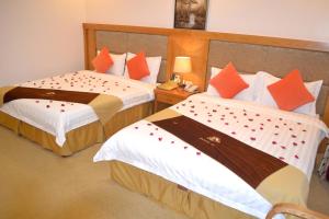 A1 Hotel - Dien Bien Phu