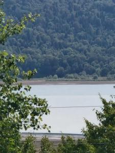 Eco Cottages Shaori Lake