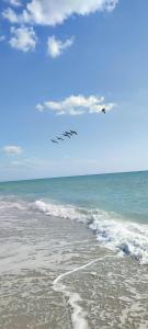 Manasota Delux Villas #9