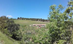 Maisons de vacances gites 