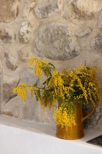 Appartements Mediterranean Suite in Ardeche : photos des chambres