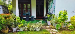 Village Breeze Homestay