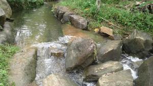 Village Breeze Homestay