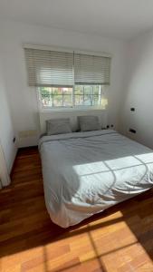 Exclusive Master Apartment