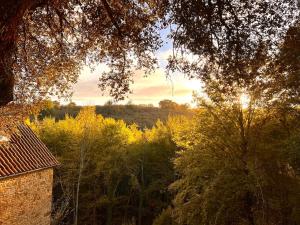 Maisons de vacances Domaine de charme avec 2 gites et piscine couverte : photos des chambres