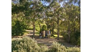 Orange 1 by Tiny Away