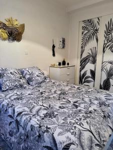 Lappart de Coco - Idéal pour découvrir Cassis