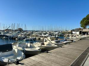 Appartements APPARTEMENT T2 4 Personnes sur LA LONDE LAL300-031 : photos des chambres