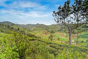 The Hillview Hideaway Chic 2BHK with Terrace and Garden