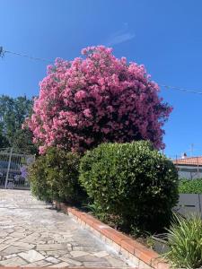 Villa bella Diamante