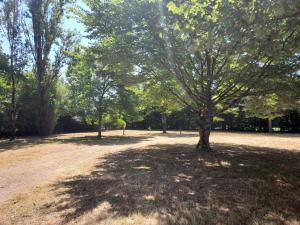 Campings Camping De Bellebouche : photos des chambres