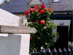 Maisons de vacances Charme & comfort, Terrace, 5 minutes by boat from Lorient : photos des chambres