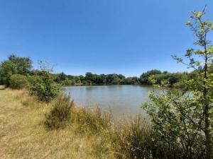 Campings Camping De Bellebouche : Emplacement nu