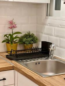 Bright and stylish Acropolis studio