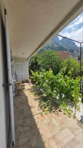 Golden Bay Apartment