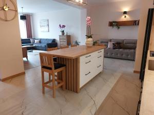 Apartament przy Jeziorku Magistrackim