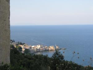 Appartements Relaxing Paradise Chez Nicolini : photos des chambres