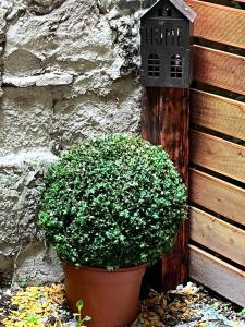 Kazinczy Apartment in Vibrant Area