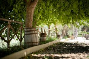 Tenuta Valle delle Ferle