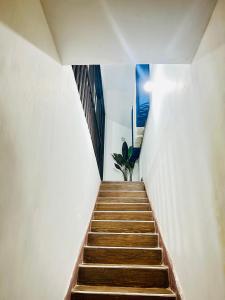 SuiteSpot Guest House