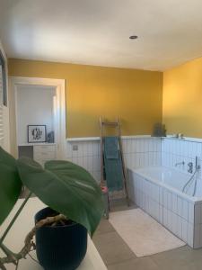 De parel van TOMORROWLAND