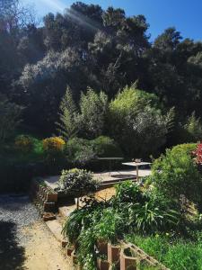 Appartements 2-room apartment near St-Tropez : photos des chambres