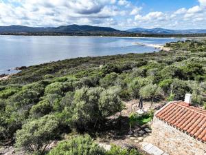 L'isola che non c'è NG Collection img18