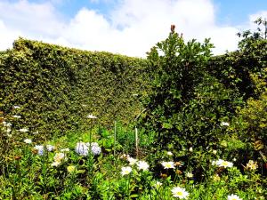 ANN FIELD BUNGALOW Home Stay