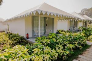 The Fern Seaside Luxurious Tent Resort Daman, Series by Marriott