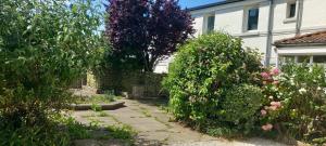 Appartements Studio 30 m2 refait a neuf idealement situe centre ville et plage : photos des chambres
