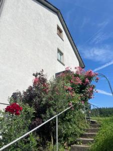 Kaiser Pension - Séjours chez l'habitant, Laufenburg