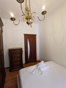 Classic Villa-spacious city center free parking