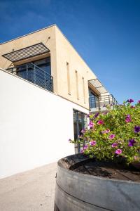 Gîte au cœur des vignes, vue sur le Minervois