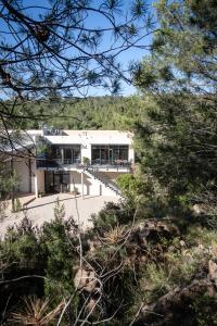 Appartements Gite au coeur des vignes, vue sur le Minervois : photos des chambres