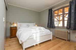 Spacious Vacation Apartment With A Garden View