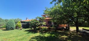 Edensk vrt classic!!i