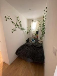 Appartements La palmeraie Evanlucas : photos des chambres