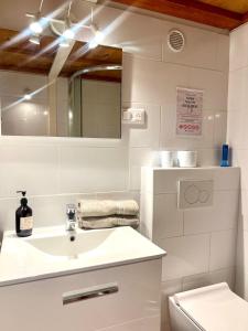 Appartements Studio Chalucet - close to train station : photos des chambres