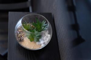 PaLu' Sea View img33