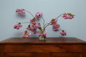 Vacation Apartment Near The Lake