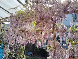 Maisons de vacances Pretty house : photos des chambres