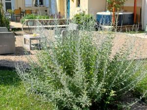 B&B / Chambres d'hotes L-etoile du matin : photos des chambres