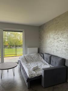 Apartament Solemare nad Zalewem Wiślanym