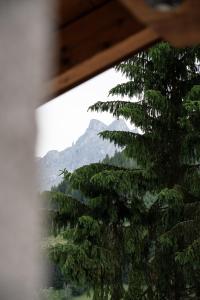 Gasthof Schöntal - 3hvězdičkové hotely ve městě Werfenweng