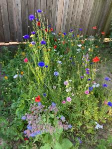 De Ijzerstilte - The Yser Silence - Le silence de lYser - Die Yserstille