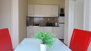 Central View Apartment