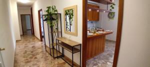 Elisa Apartment 12 minutes from Venice, free Wi-Fi included